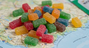 A vibrant map adorned with gummy bears, symbolizing a playful road trip adventure centered around mushroom gummies.