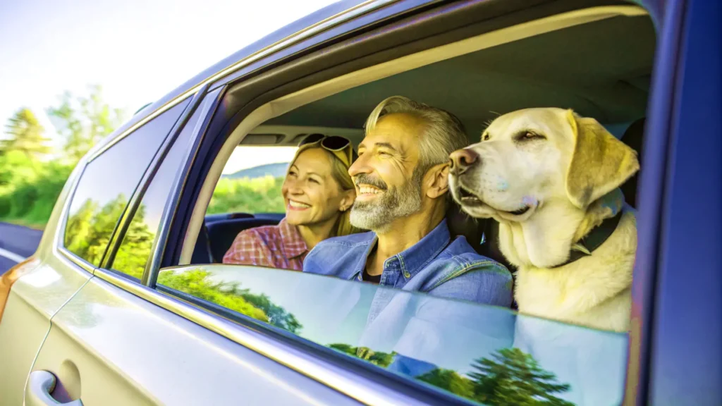 A couple travels in a car with their senior dog, capturing the joy of a holiday road trip.