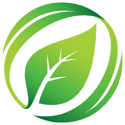 . A vibrant green leaf logo representing eco-friendliness and growth, designed with a sleek and contemporary look.
